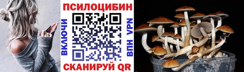 Псилоцибиновые грибы ЛСД Купить закладки Данков